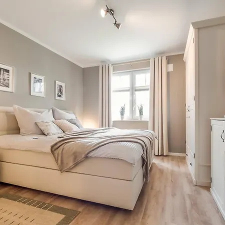 Fischlaender 10 * ツィングシュト